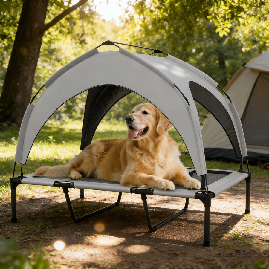 Paws & Palz Elevated Dog Bed With Canopy, Raised Outdoor Pet Bed For Camping With Washable Breathable Mesh